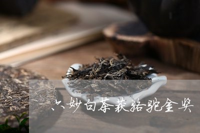 六妙白茶获骆驼金奖/2023121727348