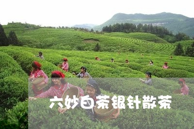 六妙白茶银针散茶/2023111513918