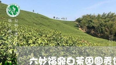 六妙福鼎白茶团圆贡饼/2023120802028