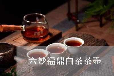 六妙福鼎白茶茶壶/2023112556371