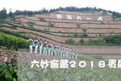 六妙窖藏2018贡眉/2023120894047