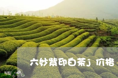 六妙紫印白茶j价格/2023121753930