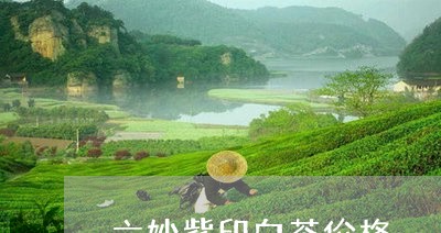 六妙紫印白茶价格/2023061567273