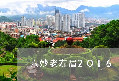 六妙老寿眉2016/2023120570503