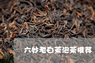 六妙老白茶泡茶推荐/2023081238361