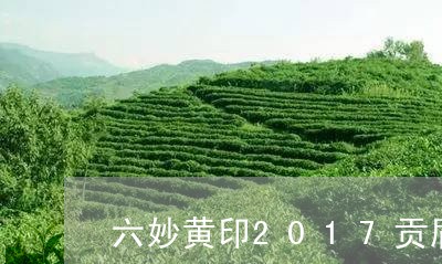 六妙黄印2017贡眉/2023092195828