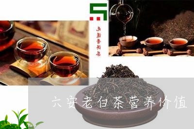 六安老白茶营养价值/2023121727968