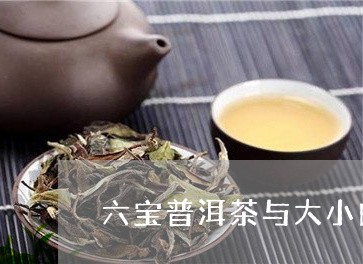 六宝普洱茶与大小白菜/2023092638371