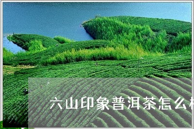 六山印象普洱茶怎么样/2023061615037