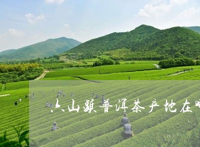 六山头普洱茶产地在哪里/2023081495160