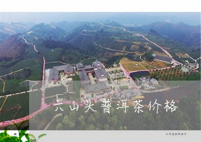 六山头普洱茶价格/2023121362934