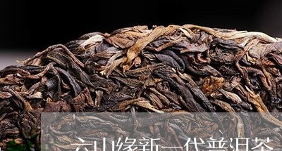 六山缘新一代普洱茶/2023092608169