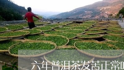 六年普洱茶发苦正常吗能喝吗/2023121330694