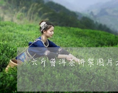 六斤普洱茶饼架图片大全/2023110175416