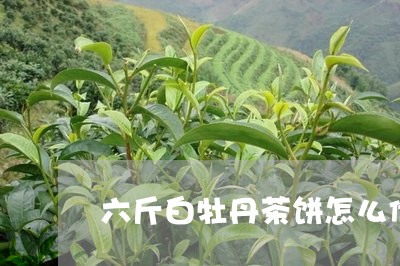 六斤白牡丹茶饼怎么储存/2023092243705