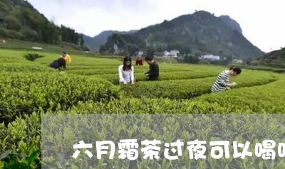 六月霜茶过夜可以喝吗/2023071402038