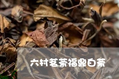 六村茗茶福鼎白茶/2023112536846