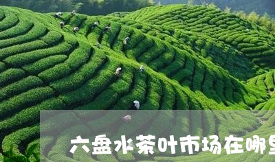 六盘水茶叶市场在哪里/2023092337260