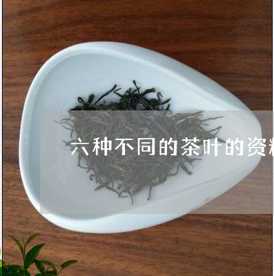 六种不同的茶叶的资料/2023071601795