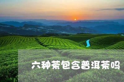 六种茶包含普洱茶吗/2023071039372