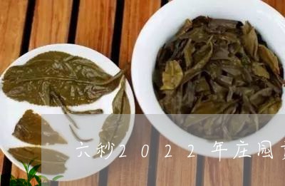 六秒2022年庄园贡眉散茶/2023062865926