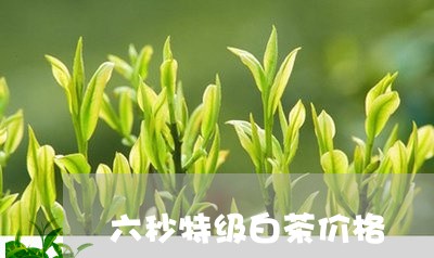 六秒特级白茶价格/2023061549706