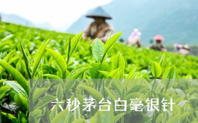 六秒茅台白毫银针/2023090753714