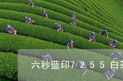 六秒蓝印7255白茶怎么样/2023111463737