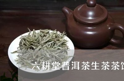 六耕堂普洱茶生茶茶饼/2023112760614