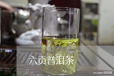 六贡普洱茶/2023081524269