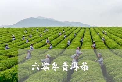 六零年普洱茶/2023042608960