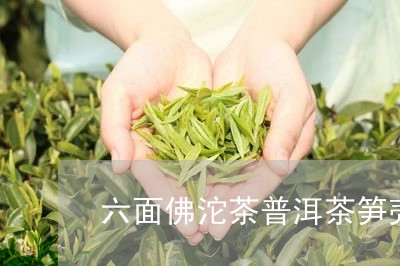 六面佛沱茶普洱茶笋壳/2023092514969