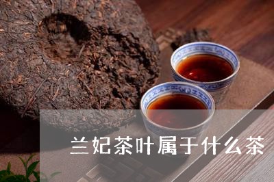 兰妃茶叶属于什么茶/2023042676173