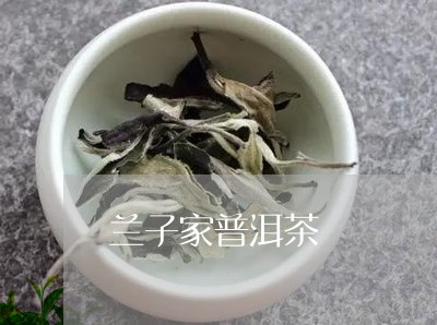 兰子家普洱茶/2023042576564