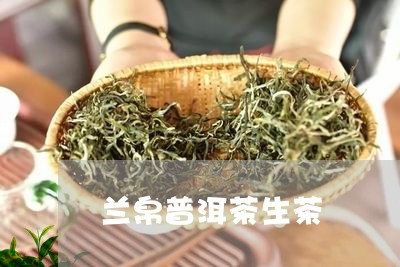 兰帛普洱茶生茶/2023112692816