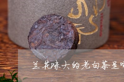 兰花味大的老白茶是哪种/2023082651716