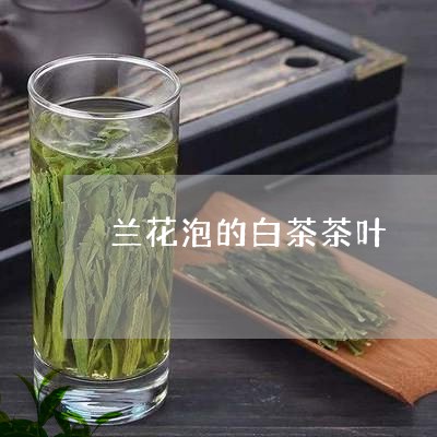 兰花泡的白茶茶叶/2023061555247