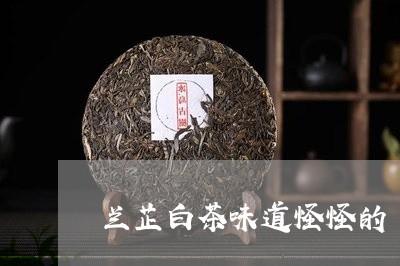 兰芷白茶味道怪怪的/2023121783715