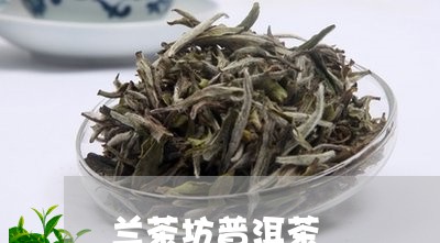 兰茶坊普洱茶/2023042929560