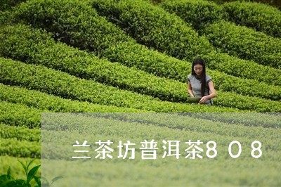 兰茶坊普洱茶808/2023070840485