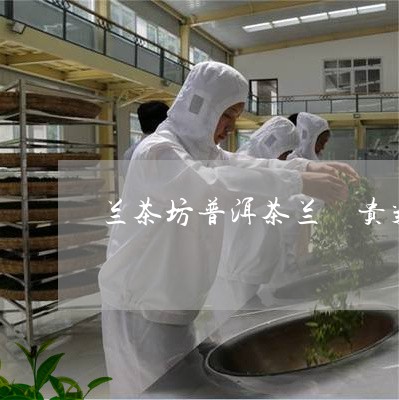 兰茶坊普洱茶兰昋贵气/2023072272736