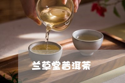 兰草堂普洱茶/2023042612237