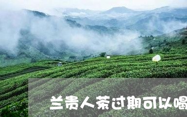 兰贵人茶过期可以喝吗/2023060818493