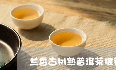 兰香古树熟普洱茶推荐/2023092732935