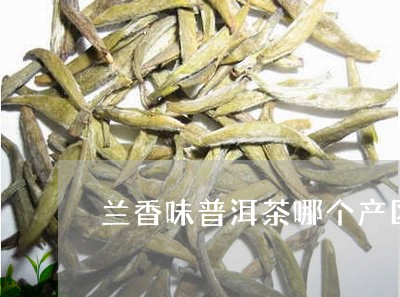 兰香味普洱茶哪个产区/2023101743705