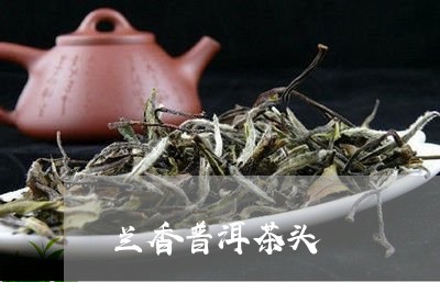 兰香普洱茶头/2023042580809