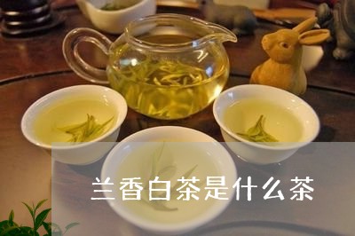 兰香白茶是什么茶/2023061528471