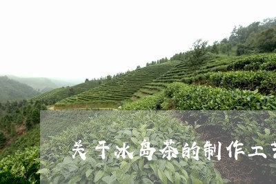 关于冰岛茶的制作工艺/2023061230494