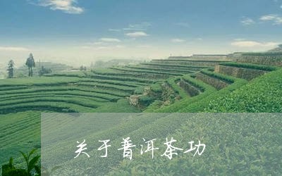 关于普洱茶功/2023091306269