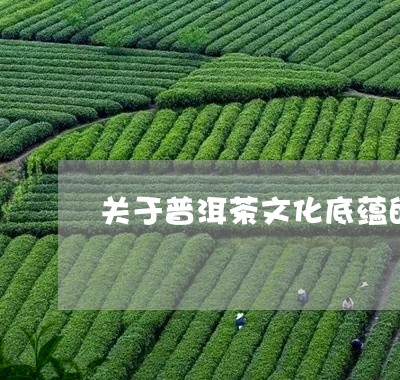 关于普洱茶文化底蕴的东西/2023051101615